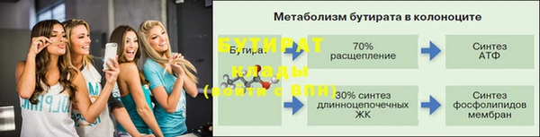 шишки Магас