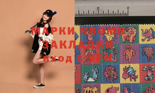 шишки Магас