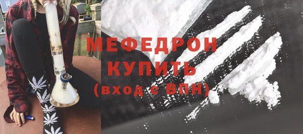 шишки Магас