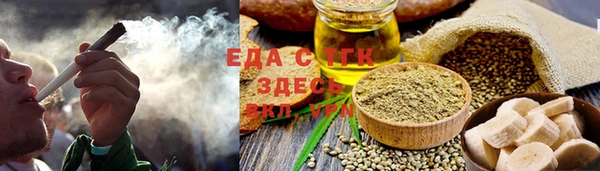 шишки Магас
