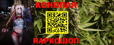 MDMA Гай