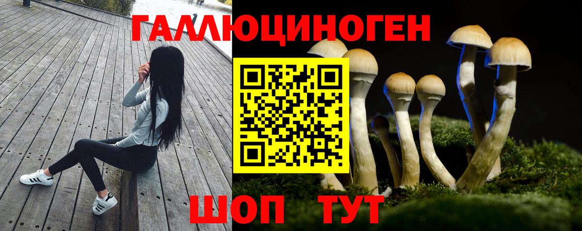 Псилоцибиновые грибы MAGIC MUSHROOMS  Вход с VPN  Кумертау 